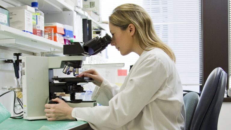 C&oacute;mo funciona un agente de IA en oncolog&iacute;a